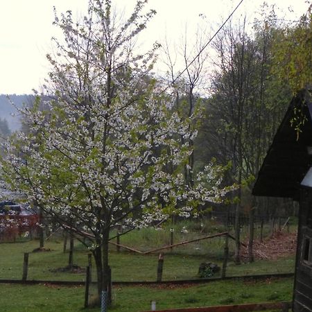 Haus Sonnentau Apartment Monschau Bagian luar foto